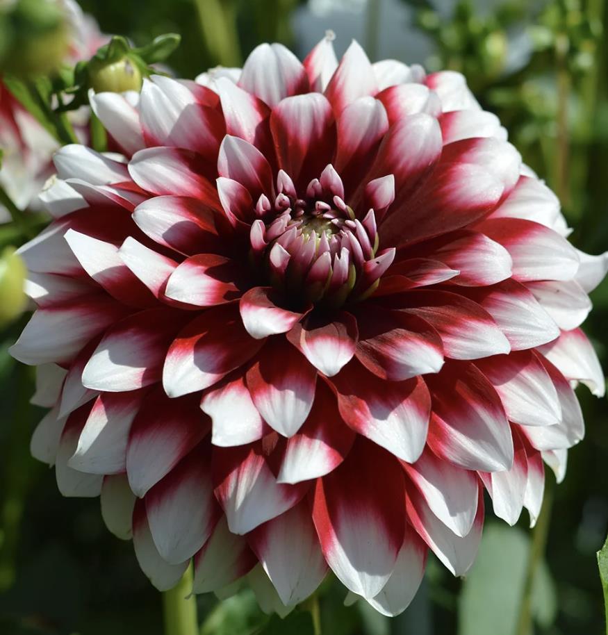 Funeral Notice Profile Image