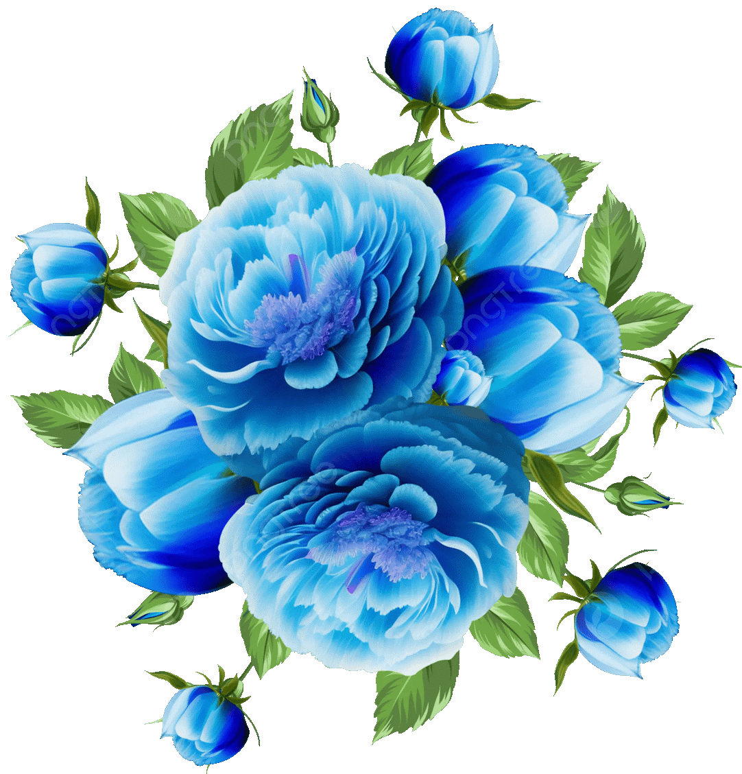 Funeral Notice Profile Image