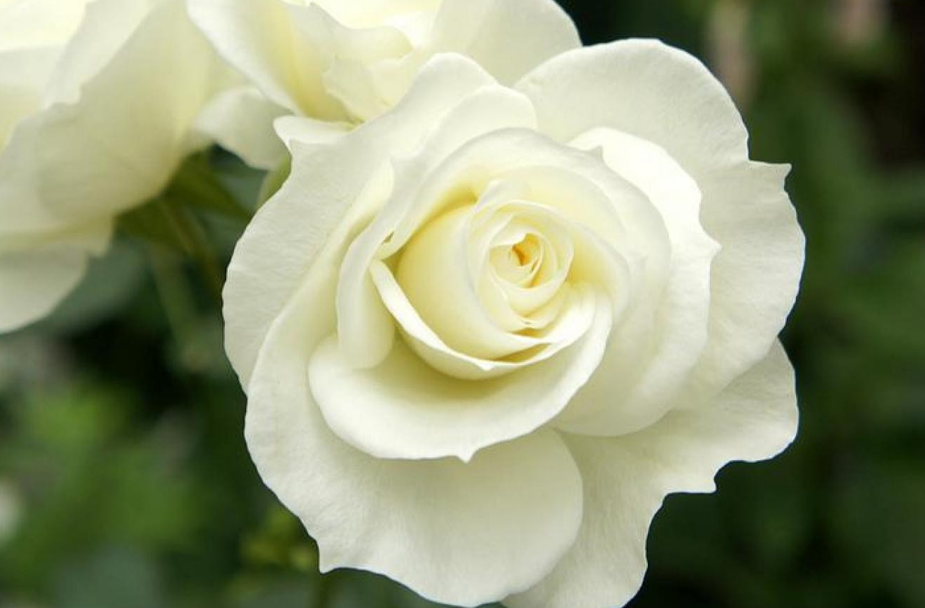 Funeral Notice Profile Image
