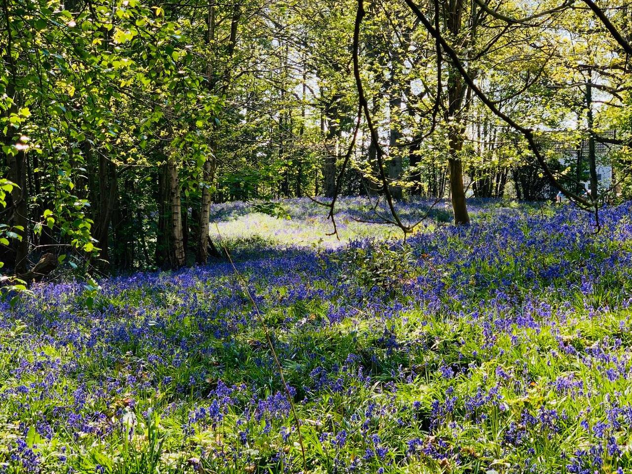 Funeral Notice Profile Image