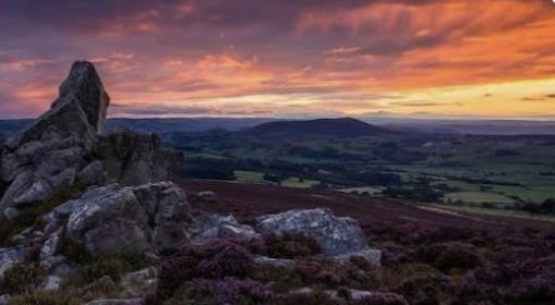 Funeral Notice Profile Image