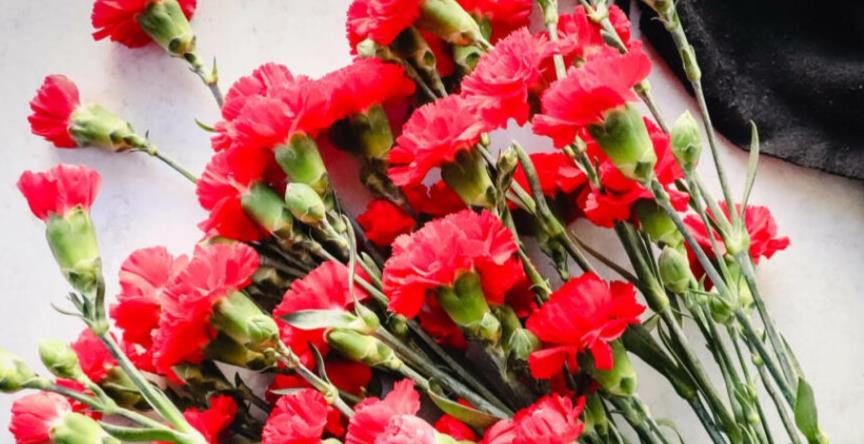 Funeral Notice Profile Image