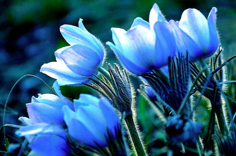 Funeral Notice Profile Image