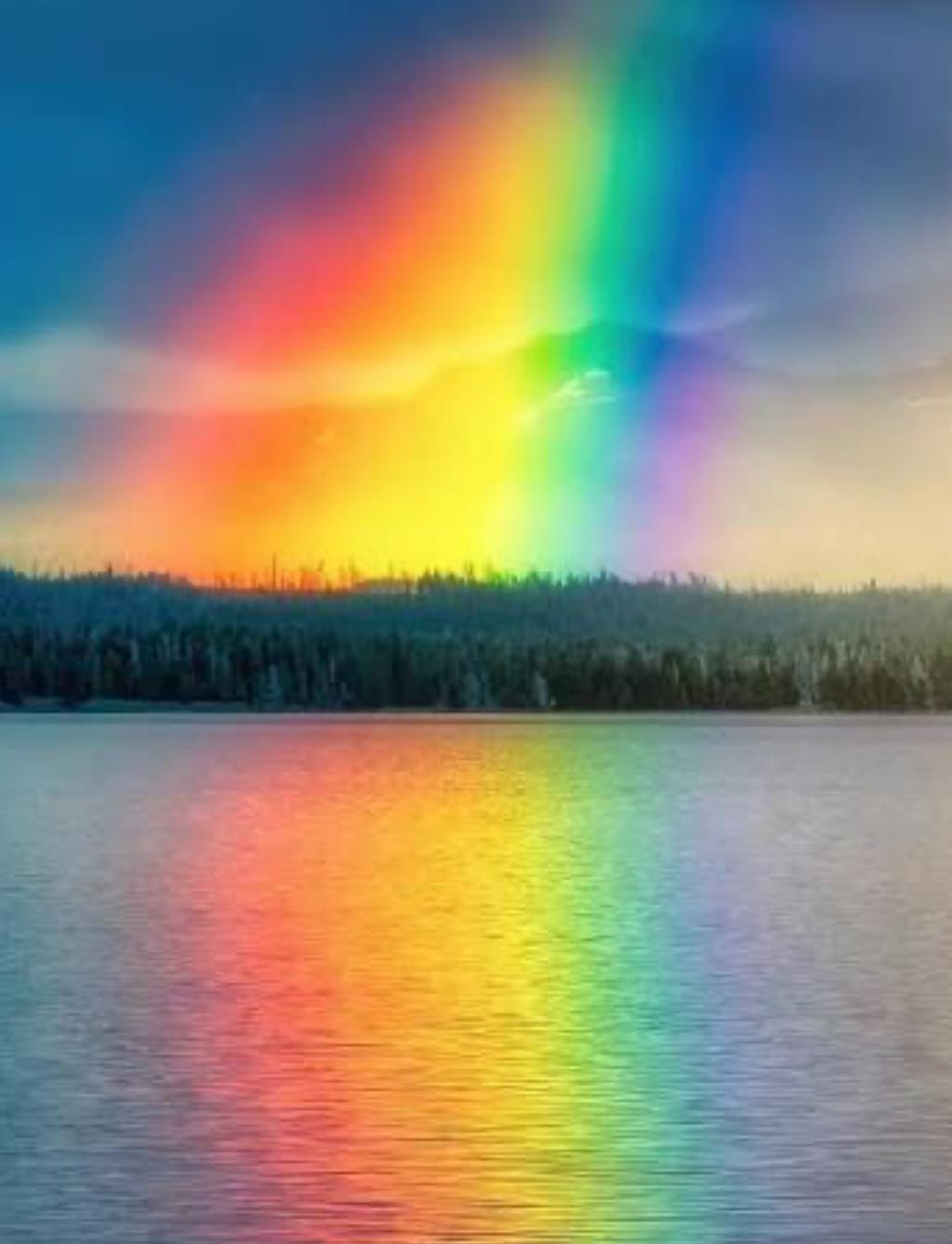 Funeral Notice Profile Image