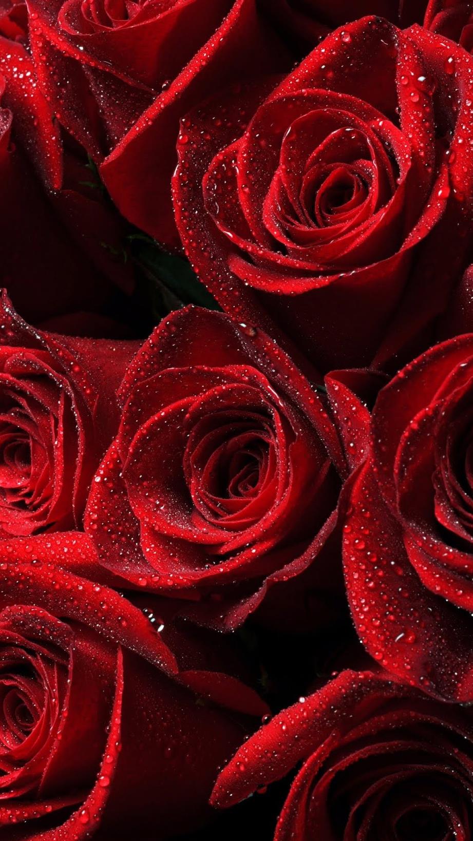 Funeral Notice Profile Image