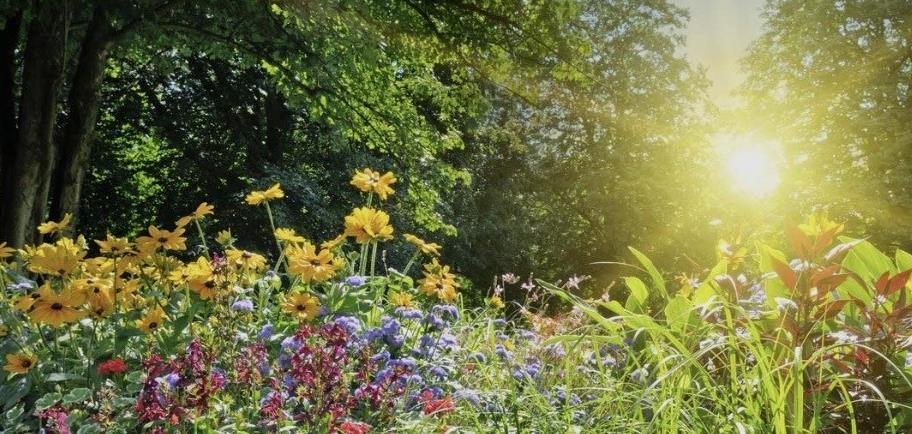 Funeral Notice Profile Image