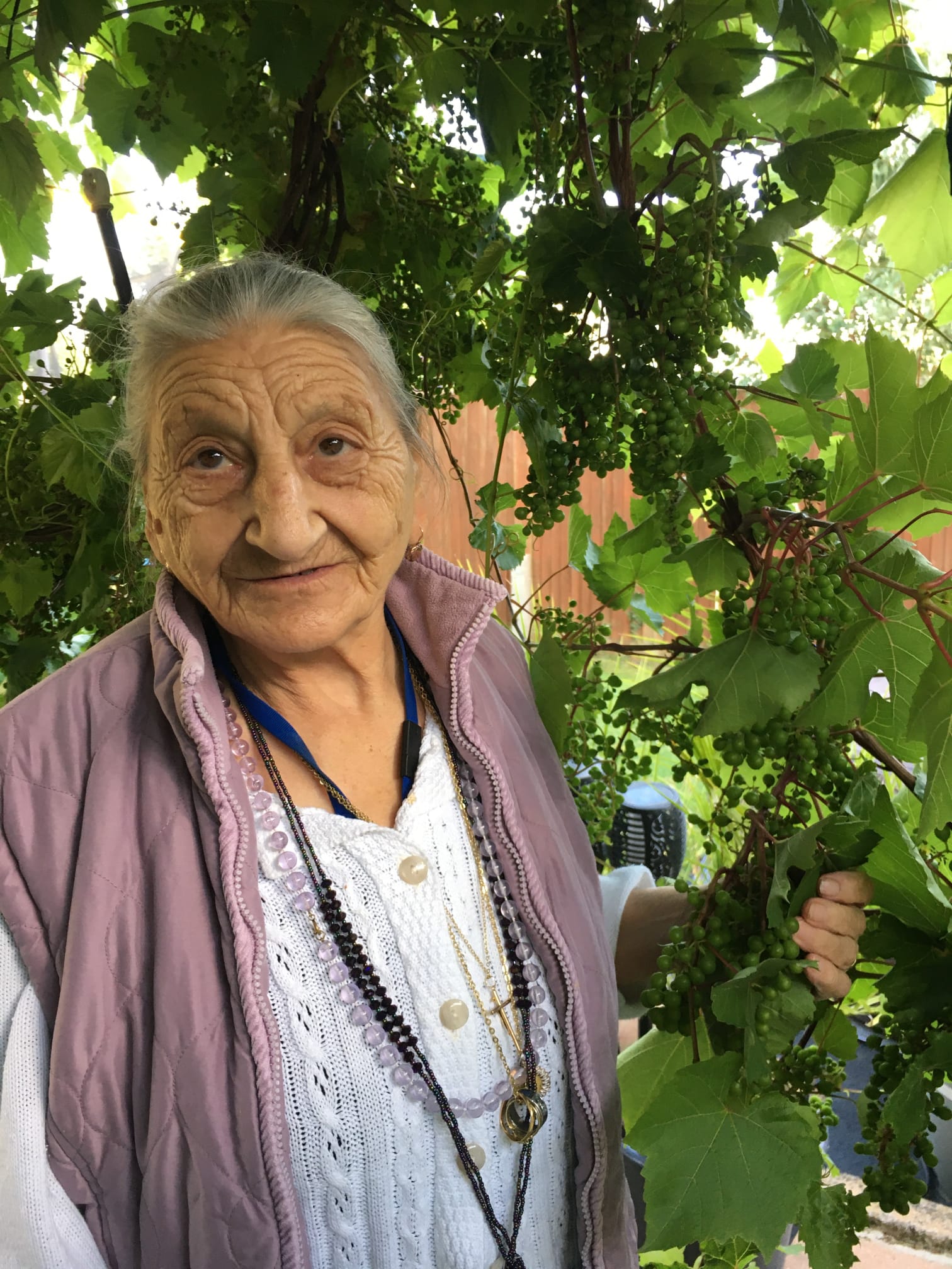 Funeral Notice for Mrs Maria Altieri