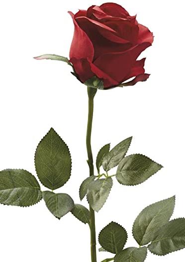 Funeral Notice Profile Image