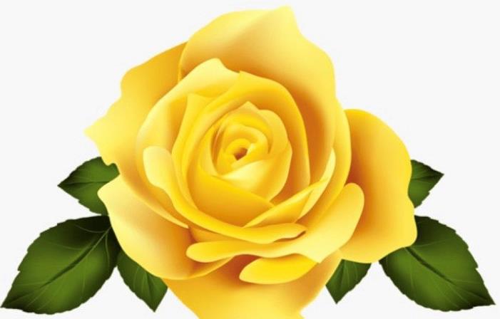 Funeral Notice Profile Image