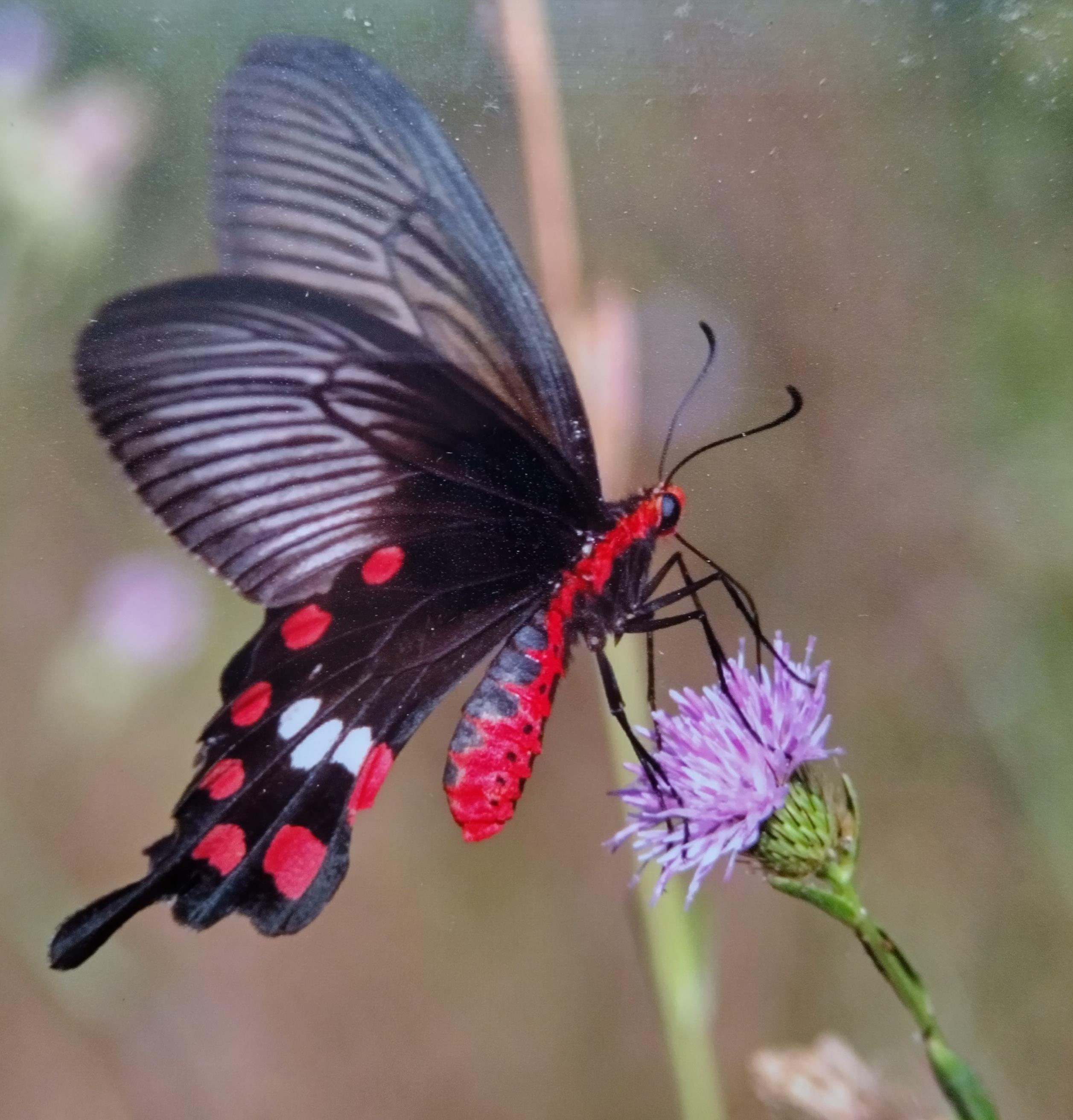 Funeral Notice Profile Image