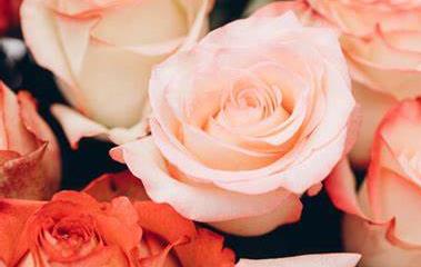 Funeral Notice Profile Image