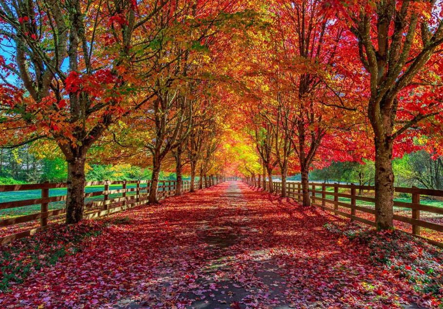 Funeral Notice Profile Image