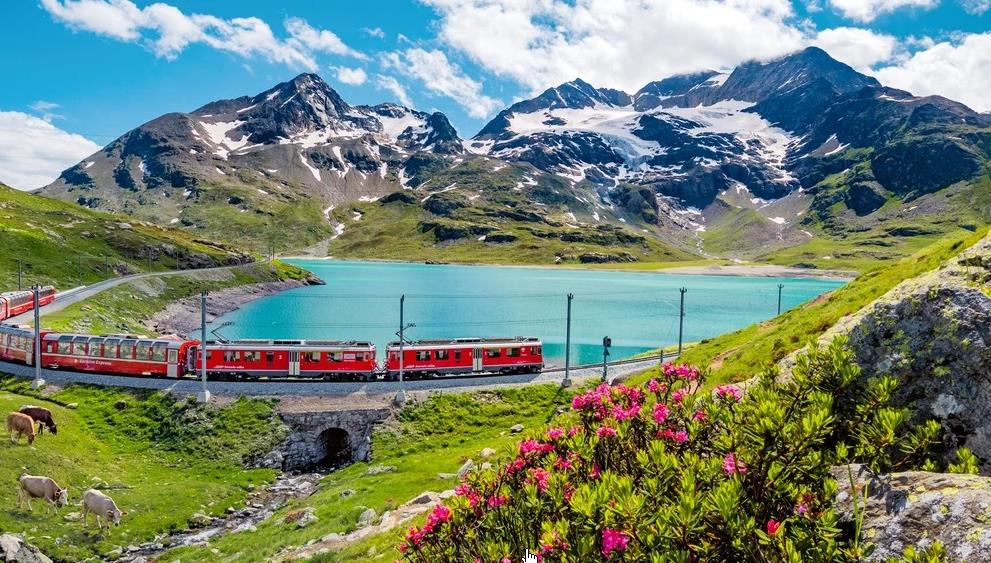 Funeral Notice Profile Image