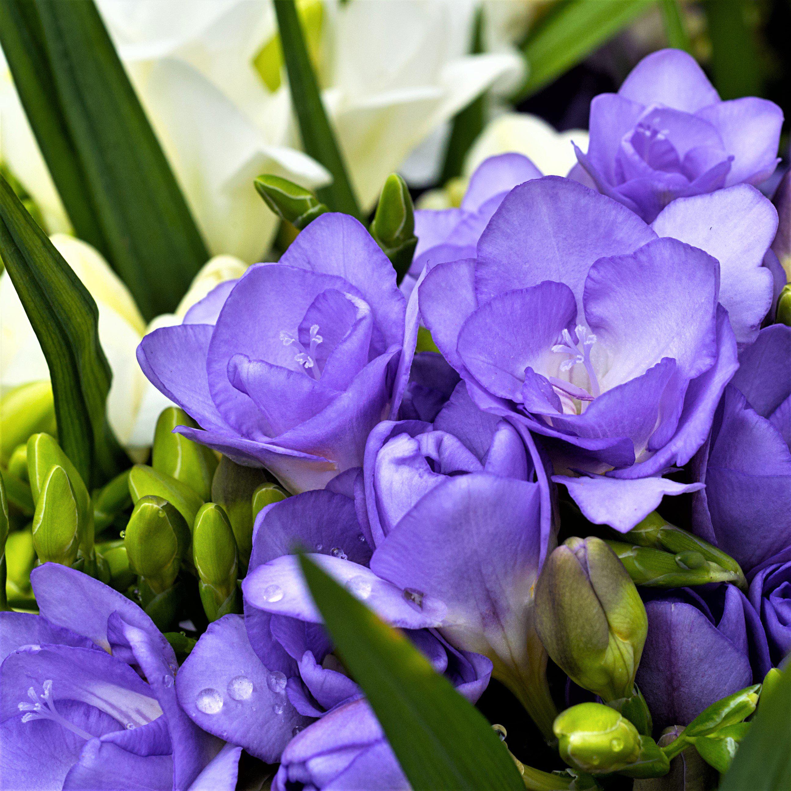 Funeral Notice Profile Image