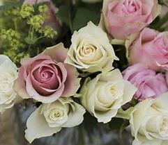 Funeral Notice Profile Image