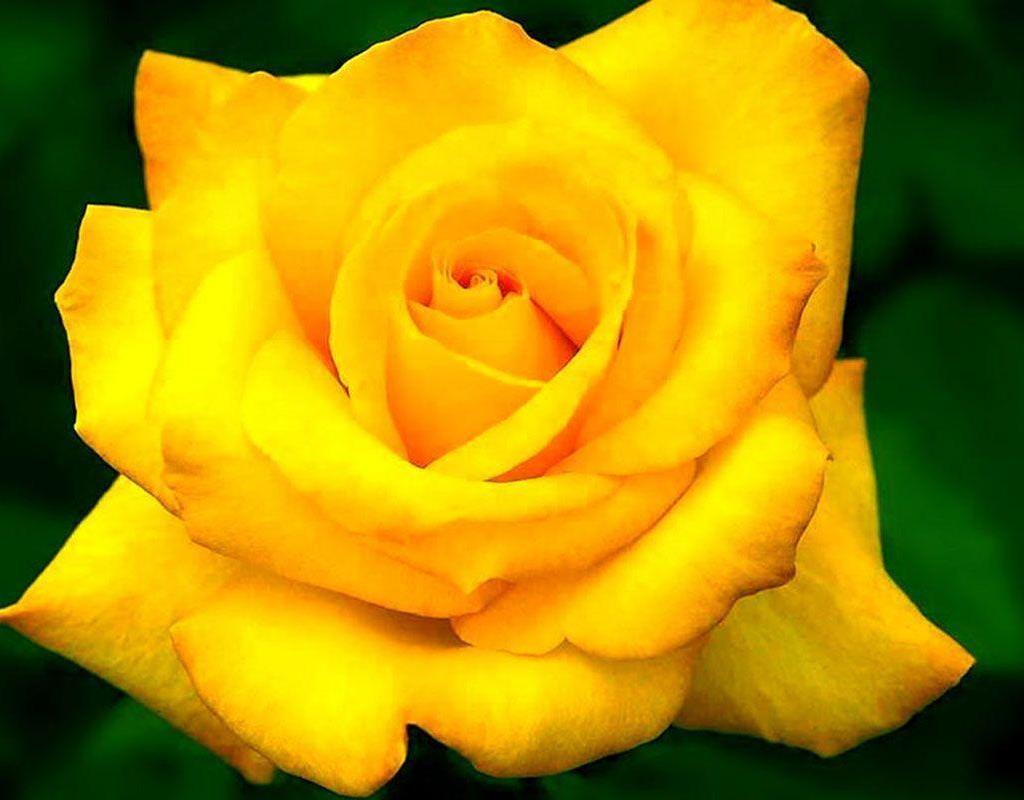Funeral Notice Profile Image