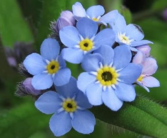 Funeral Notice Profile Image