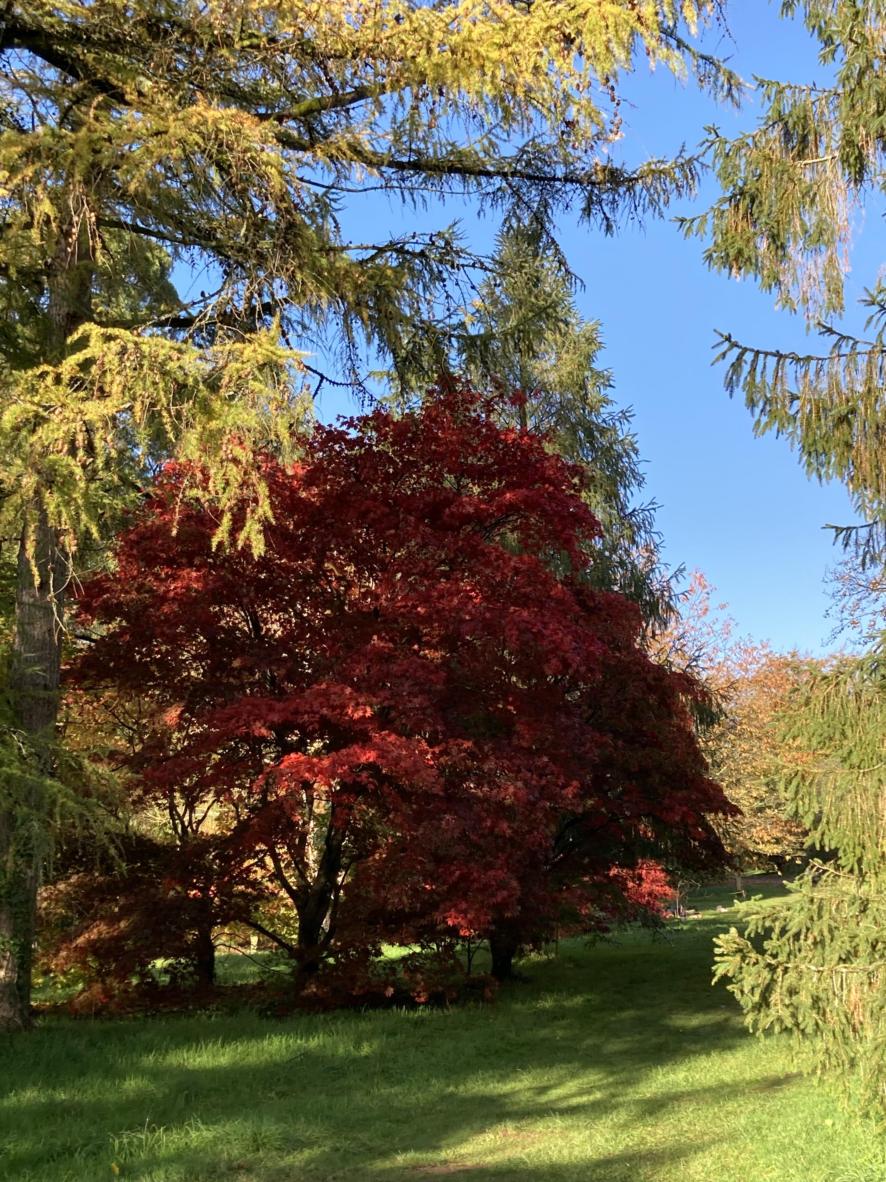 Funeral Notice Profile Image