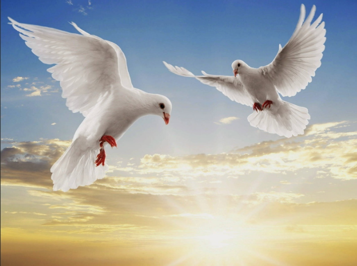 Funeral Notice Profile Image