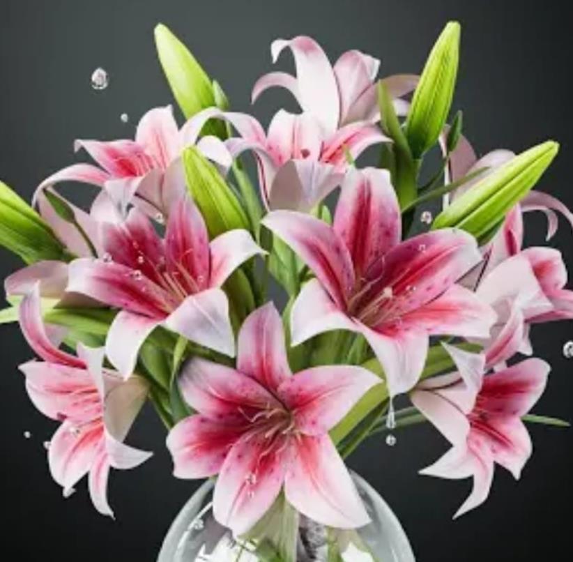 Funeral Notice Profile Image