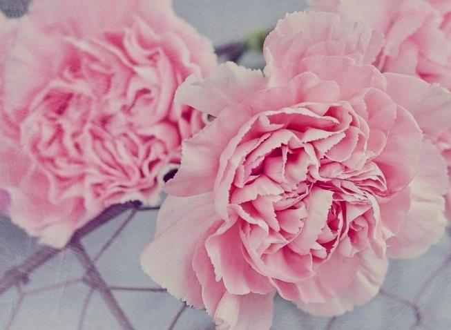 Funeral Notice Profile Image