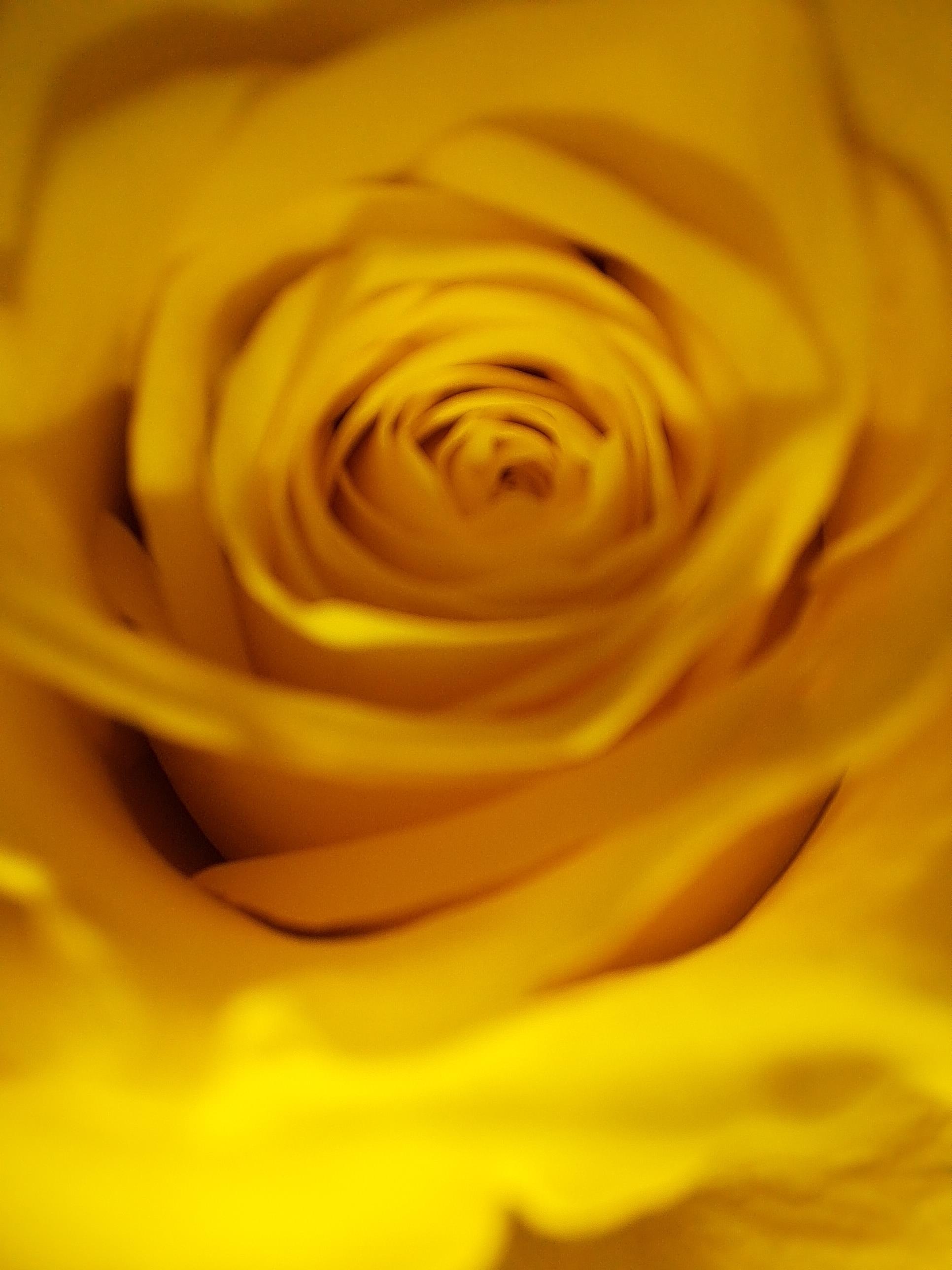 Funeral Notice Profile Image
