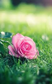 Funeral Notice Profile Image