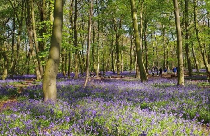 Funeral Notice Profile Image