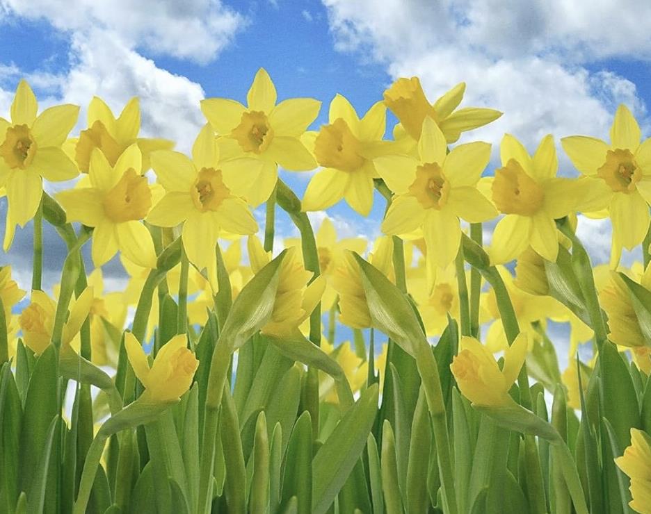 Funeral Notice Profile Image