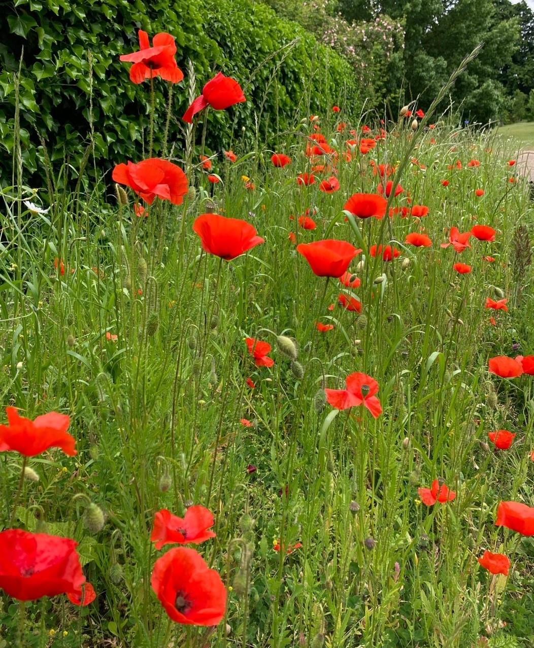 Funeral Notice Profile Image