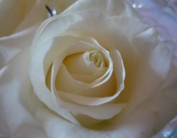 Funeral Notice Profile Image