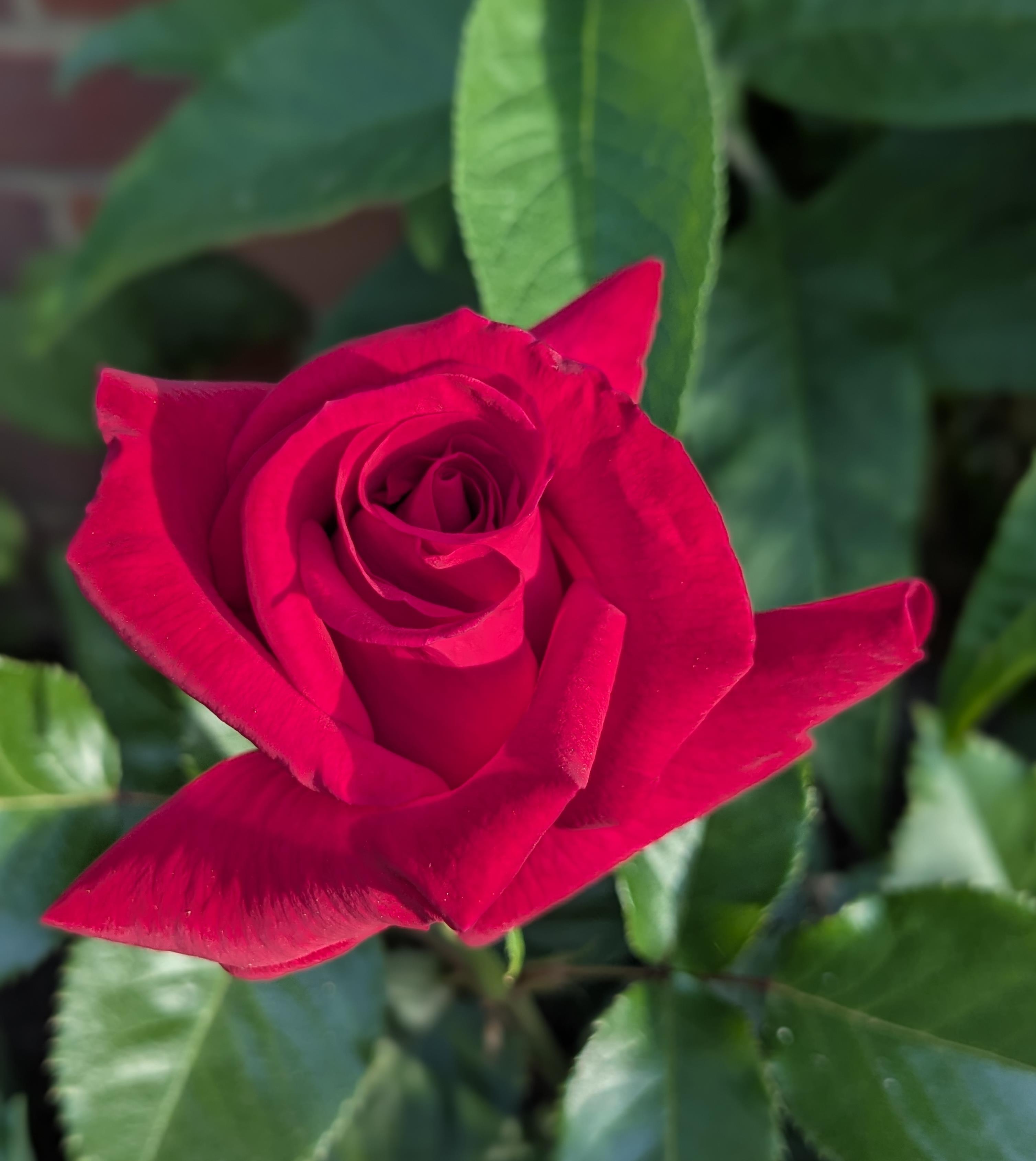 Funeral Notice Profile Image