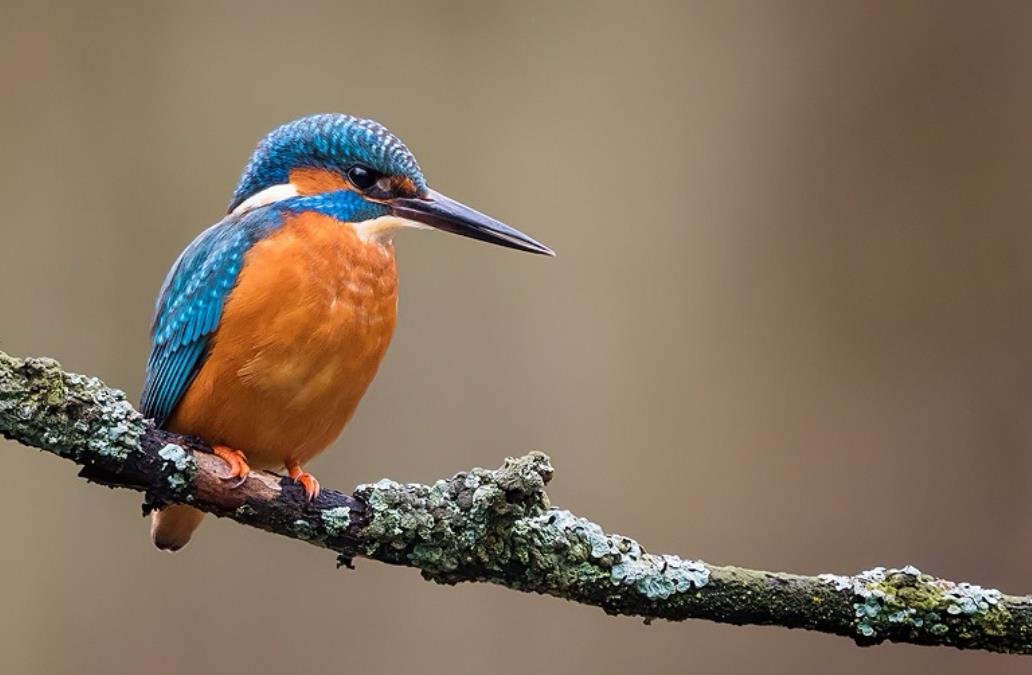 Funeral Notice Profile Image