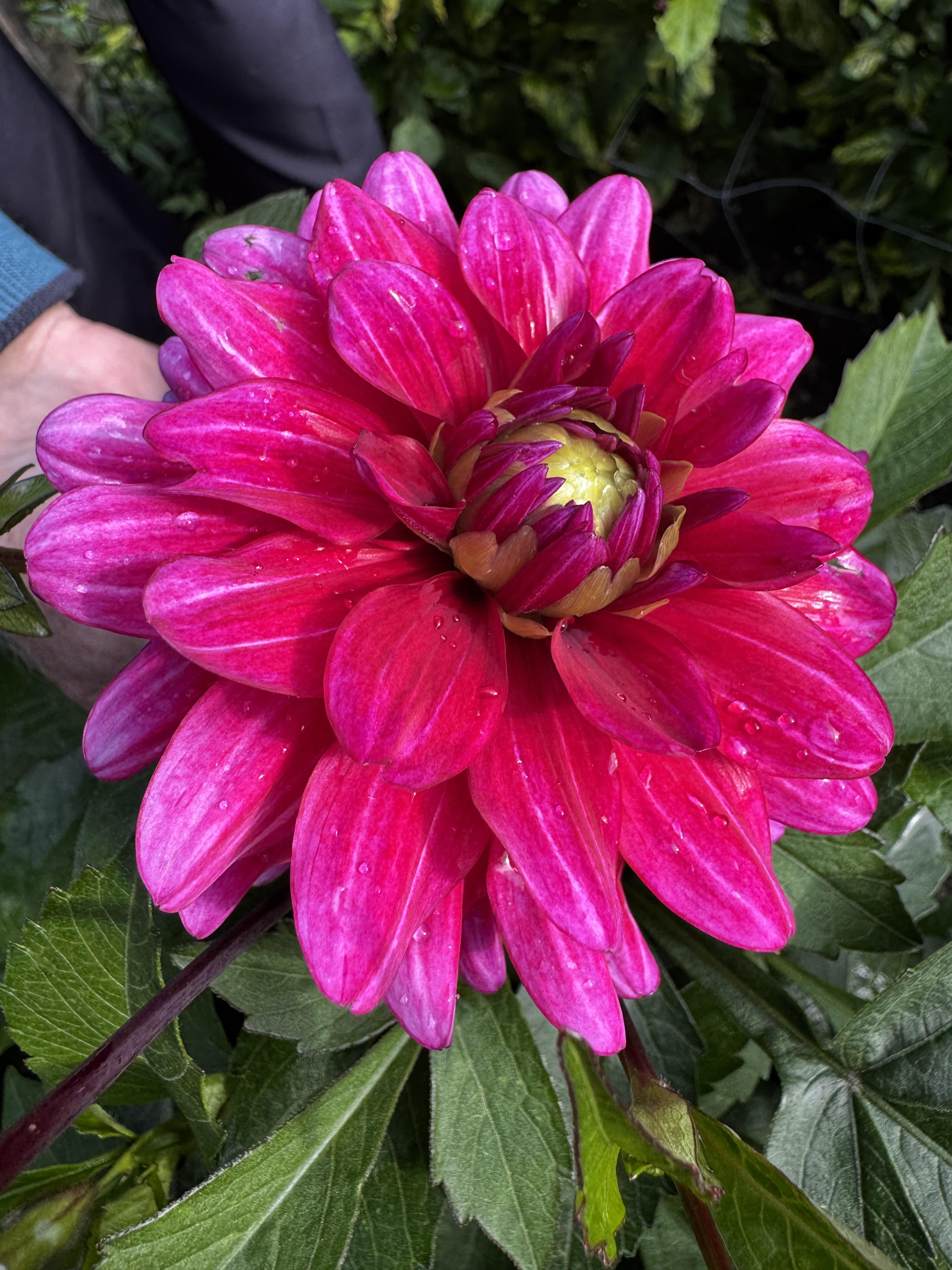 Funeral Notice Profile Image