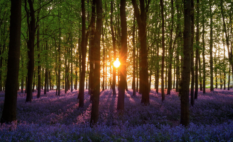 Funeral Notice Profile Image