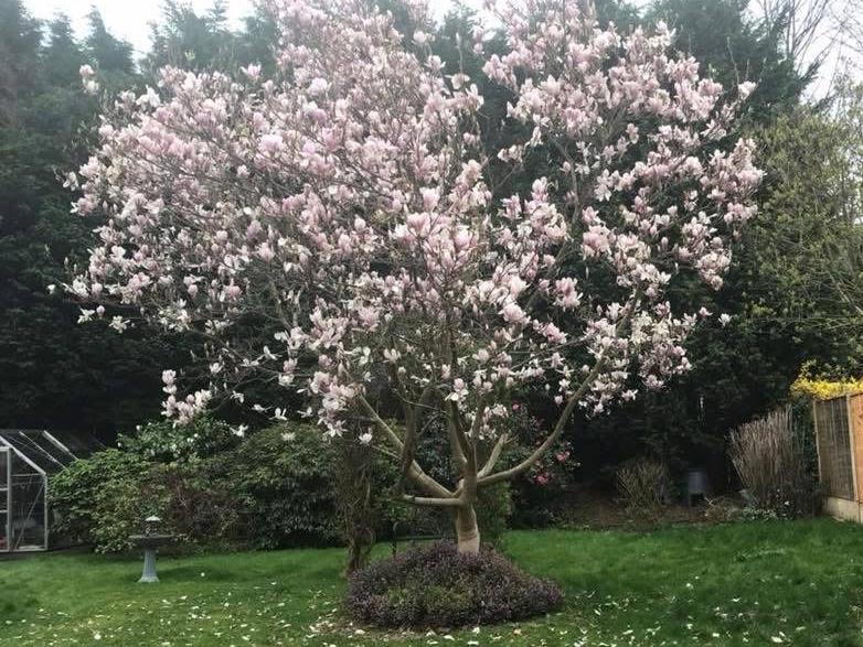 Funeral Notice Profile Image