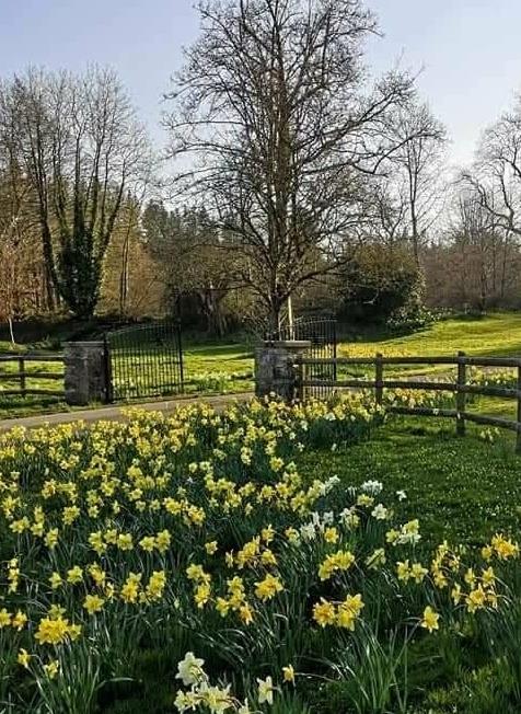 Funeral Notice Profile Image