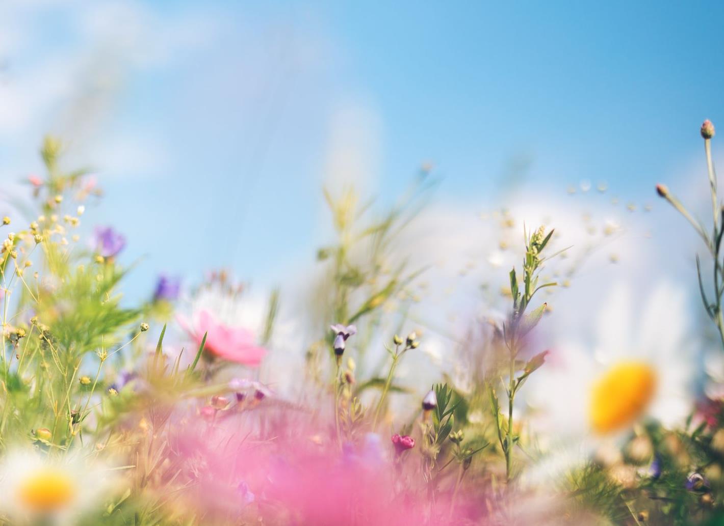 Funeral Notice Profile Image