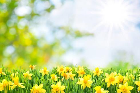 Funeral Notice Profile Image