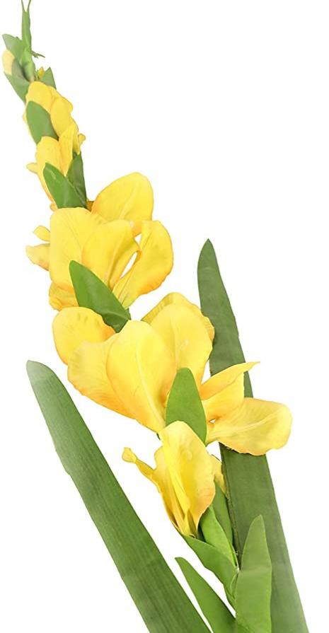 Funeral Notice Profile Image