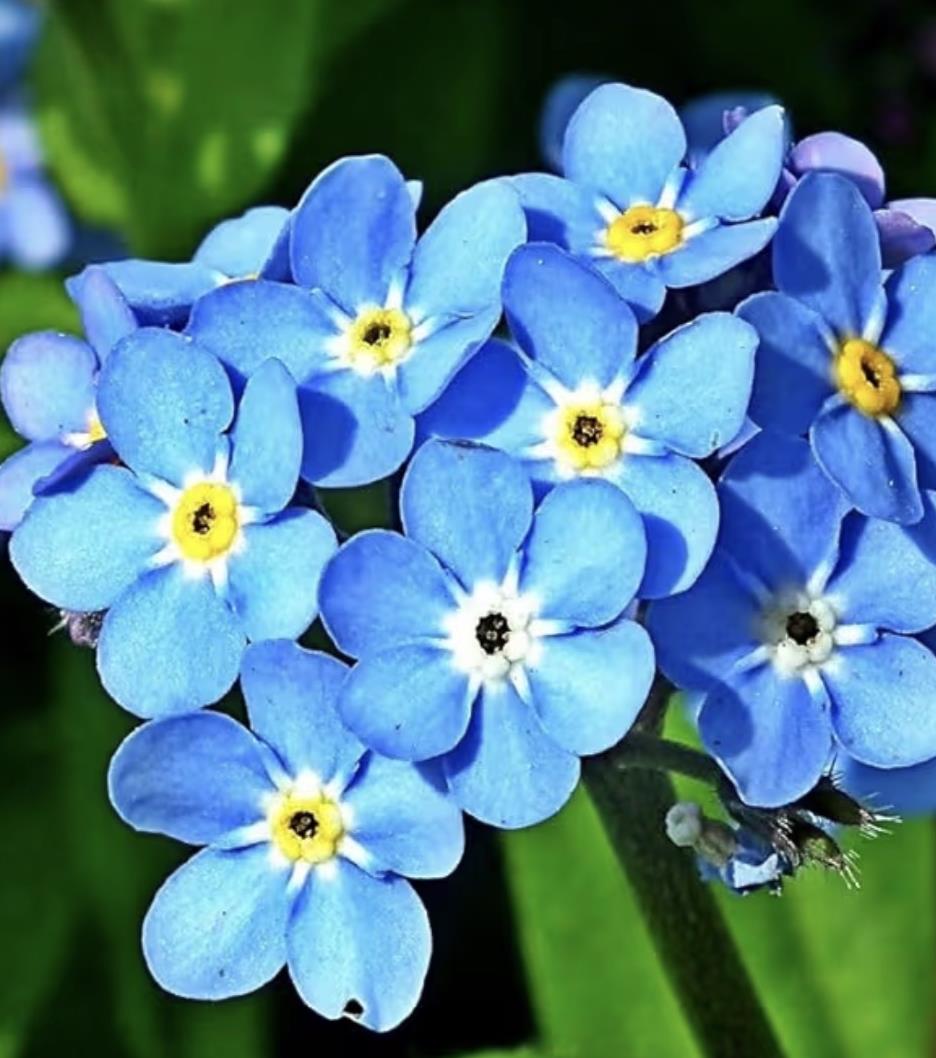 Funeral Notice Profile Image