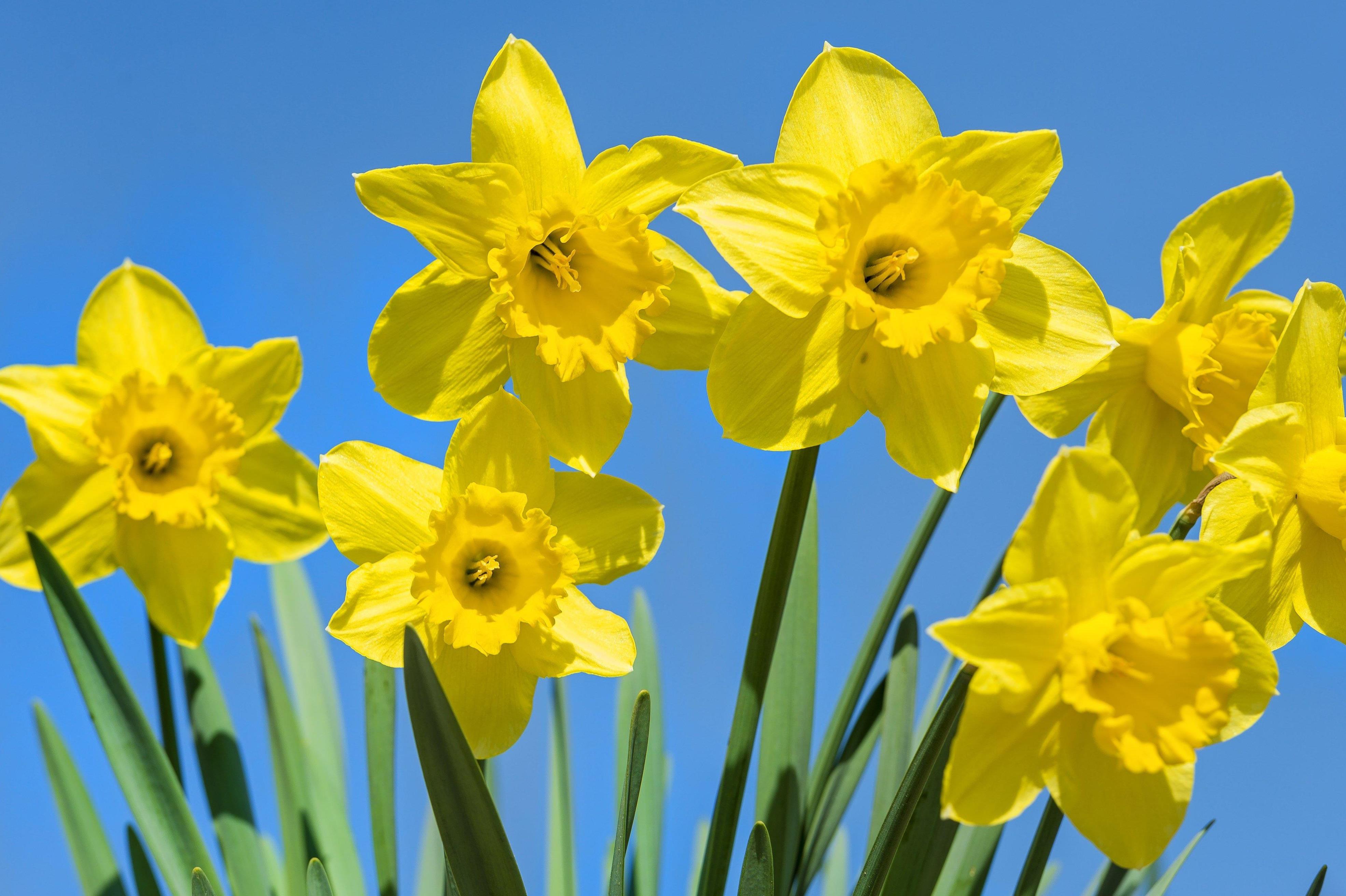 Funeral Notice Profile Image