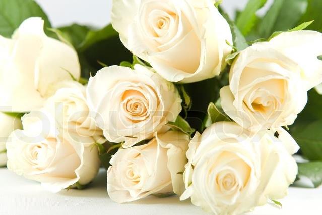 Funeral Notice Profile Image