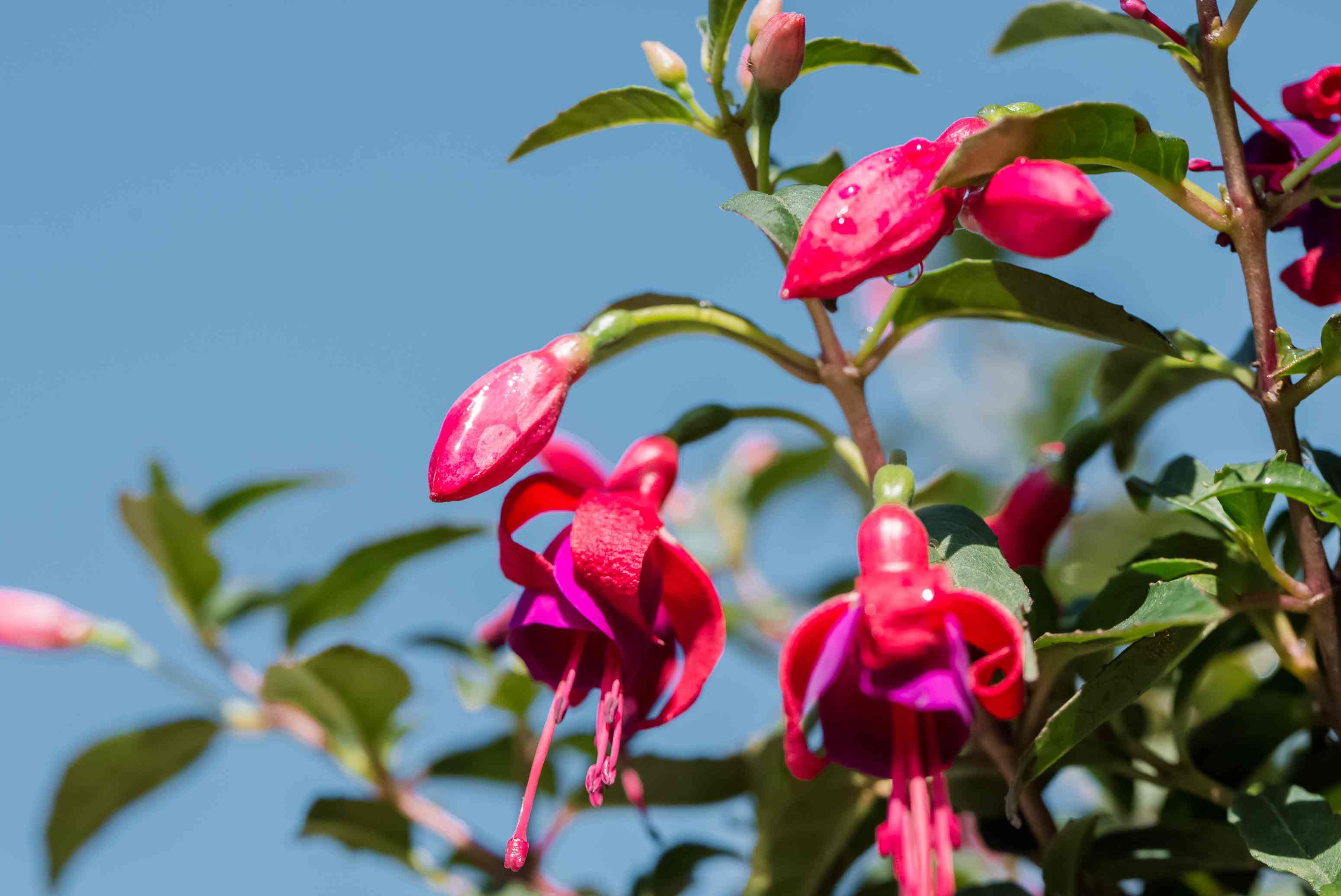 Funeral Notice Profile Image