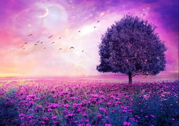 Funeral Notice Profile Image