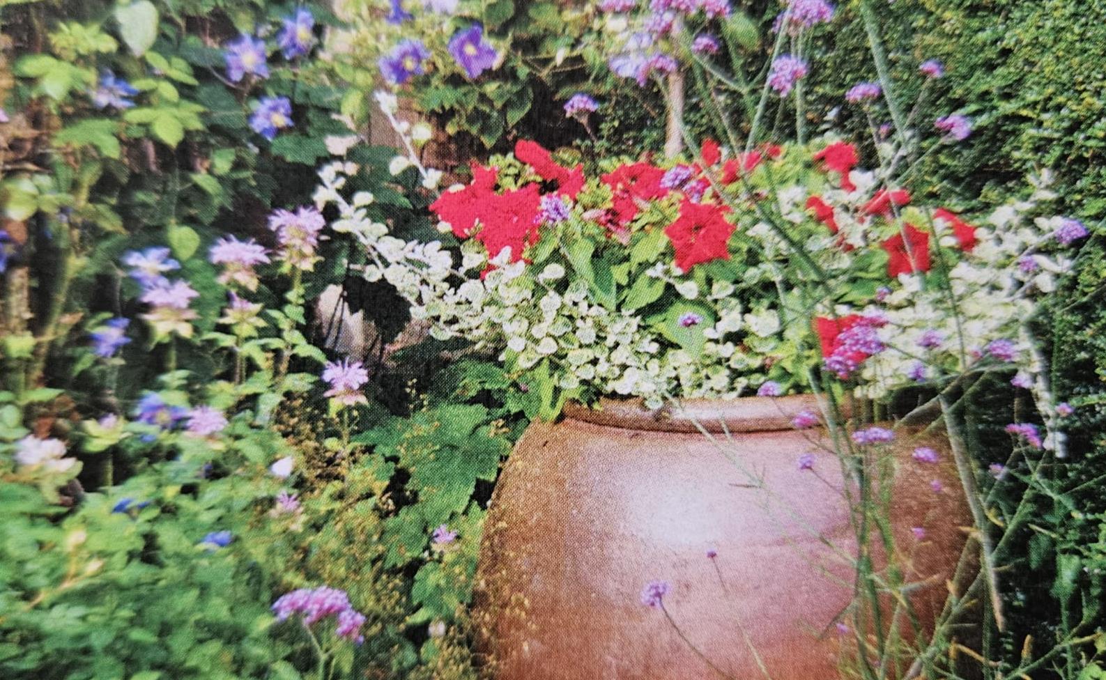 Funeral Notice Profile Image