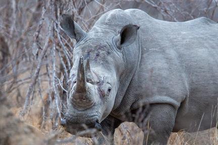 Funeral Notice Profile Image