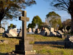 Photo of a headstone within a cemetery
