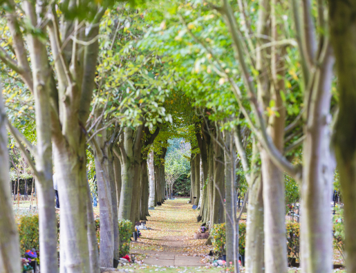 Counties Crematorium