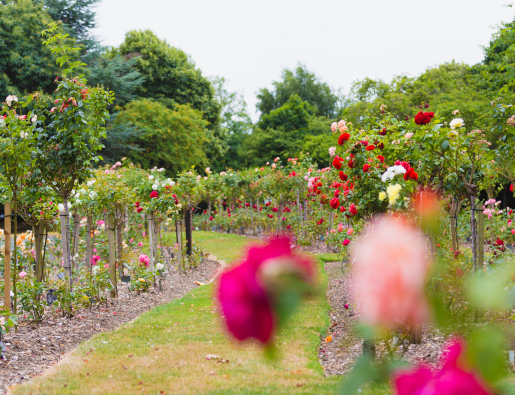 Emstrey Crematorium & Cemetery